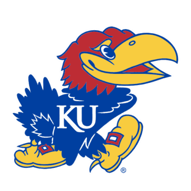 Kansas Jayhawks Doormats