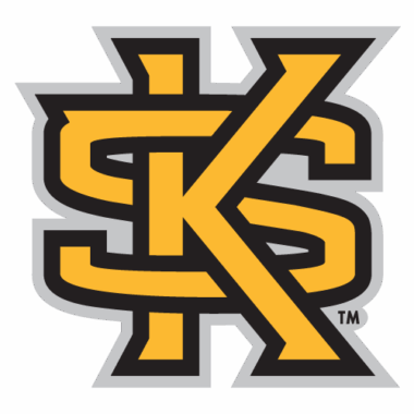 Kennesaw State Owls Doormats