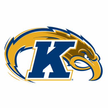 Kent State Golden Flashes Doormats