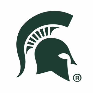Michigan State Spartans Doormats
