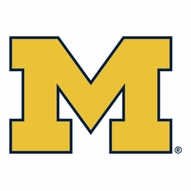 Michigan Wolverines Doormats