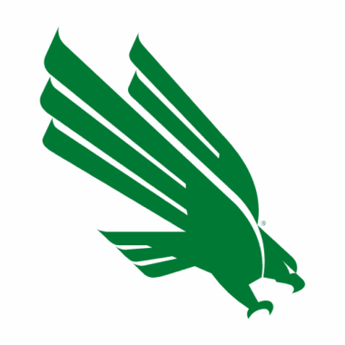 North Texas Mean Green Doormats