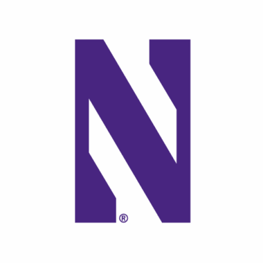 Northwestern Wildcats Doormats