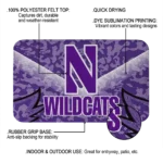 northwestern-wildcats-layered-lines-purple-doormat-best-selling.webp