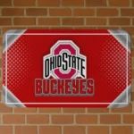 Ohio State Buckeyes Silver Halftone Scarlet Doormat