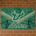 South Florida Bulls Layered Lines Green Doormat