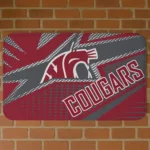 Washington State Cougars Sharp Flash Crimson Doormat