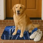 air-force-falcons-graphic-stripes-blue-doormat-best-selling.webp