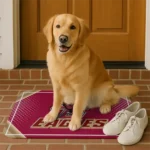 boston-college-eagles-silver-halftone-maroon-doormat-best-selling.webp