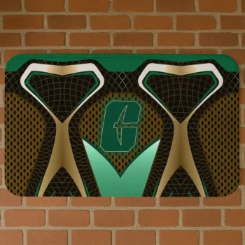 Charlotte 49ers Torso Pattern Doormat