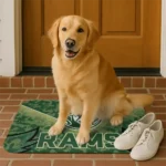 colorado-state-rams-layered-lines-green-doormat-best-selling.webp