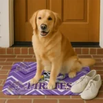 east-carolina-pirates-chevron-geometrics-purple-doormat-best-selling.webp