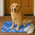 kansas-jayhawks-chevron-geometrics-blue-doormat-best-selling.webp