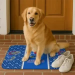 kansas-jayhawks-chevron-stack-blue-doormat-best-selling.webp