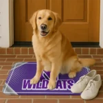 northwestern-wildcats-silver-halftone-purple-doormat-best-selling.webp
