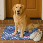 south-alabama-jaguars-chevron-geometrics-blue-doormat-best-selling.webp