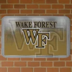 Wake Forest Demon Deacons Pixel Blur Gold Doormat