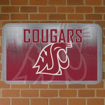 Washington State Cougars Pixel Blur Crimson Doormat